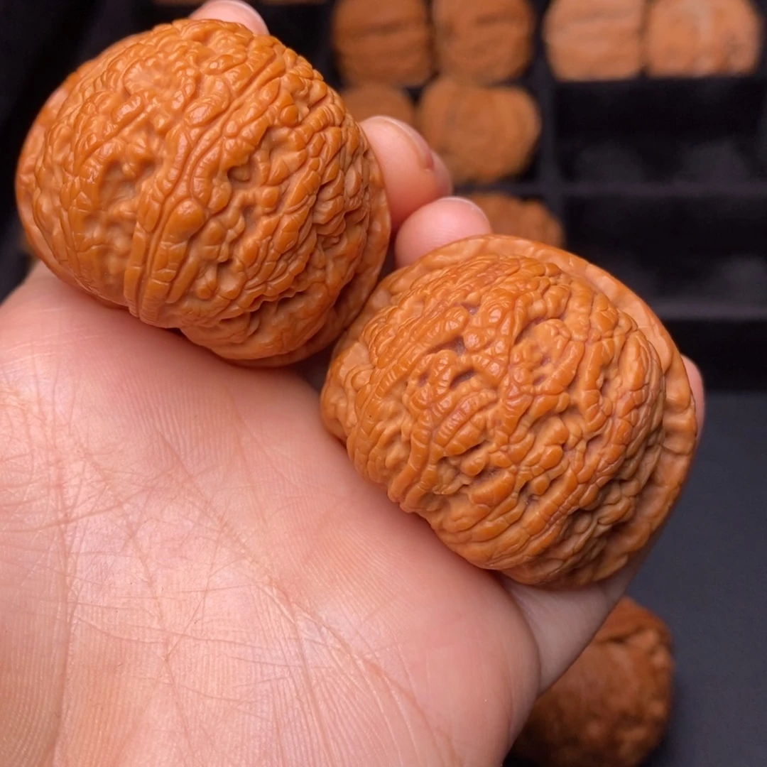 秦岭野生文玩核桃