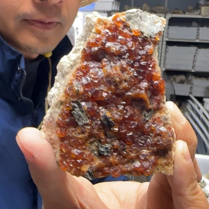 哞***吽昌化石印石原石料