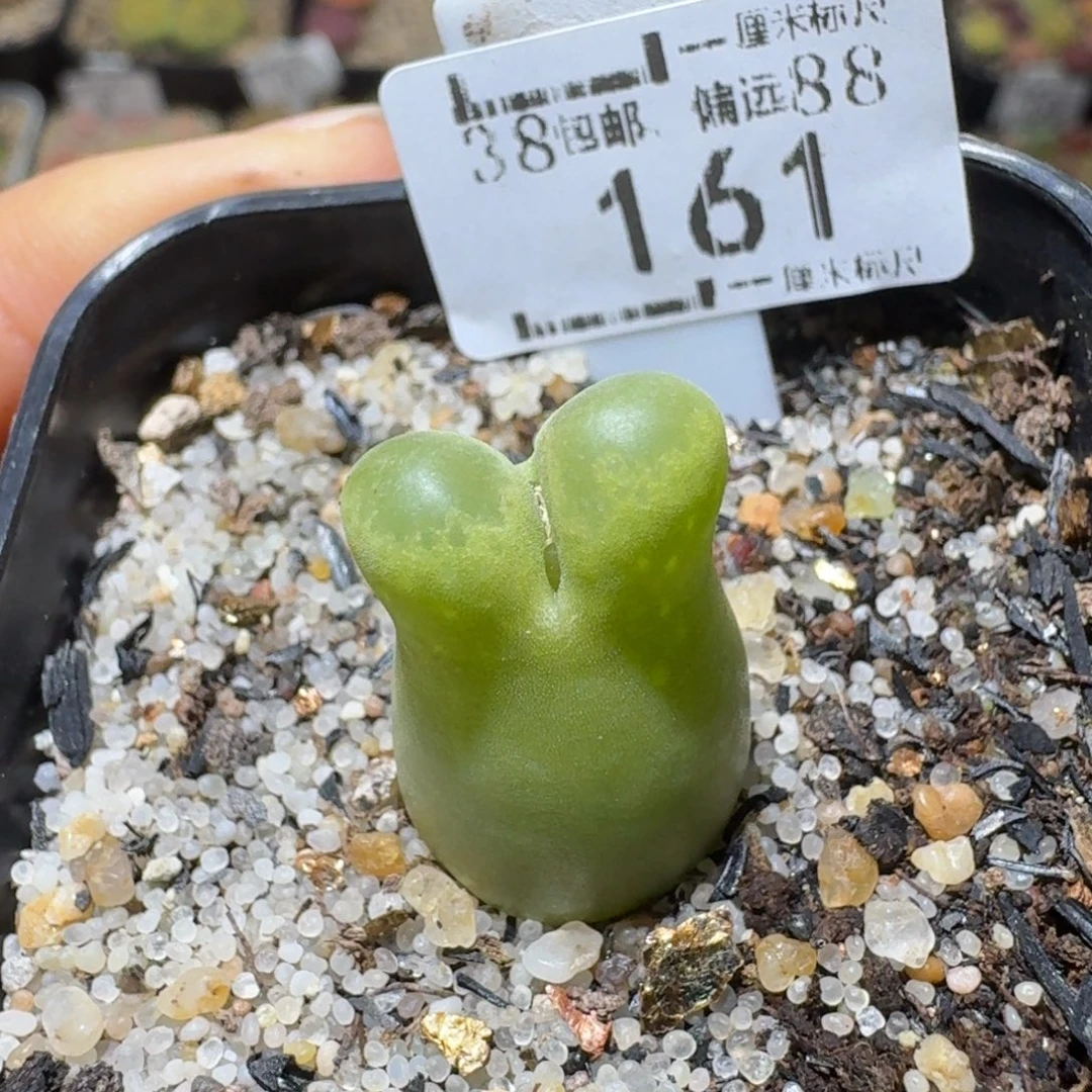 Sss精品便宜清了162奶瓶