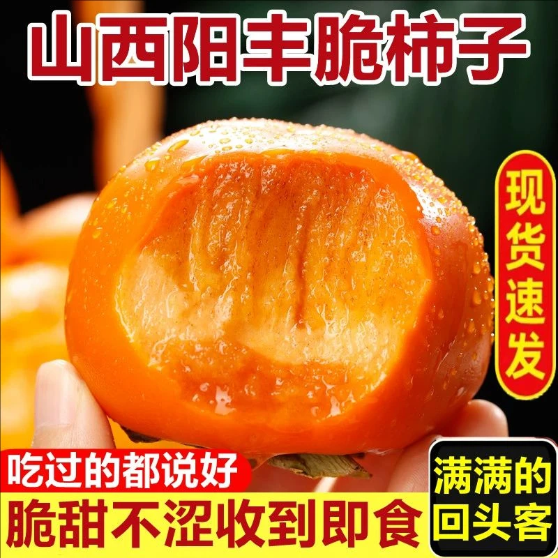 山西阳丰巧克力脆柿子当季新鲜水果5斤整箱时令红大甜硬柿子包邮