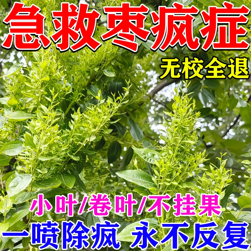 枣树疯了怎么补救专用微生物菌剂枣锈小叶褐斑炭疽腐烂缩果黄斑