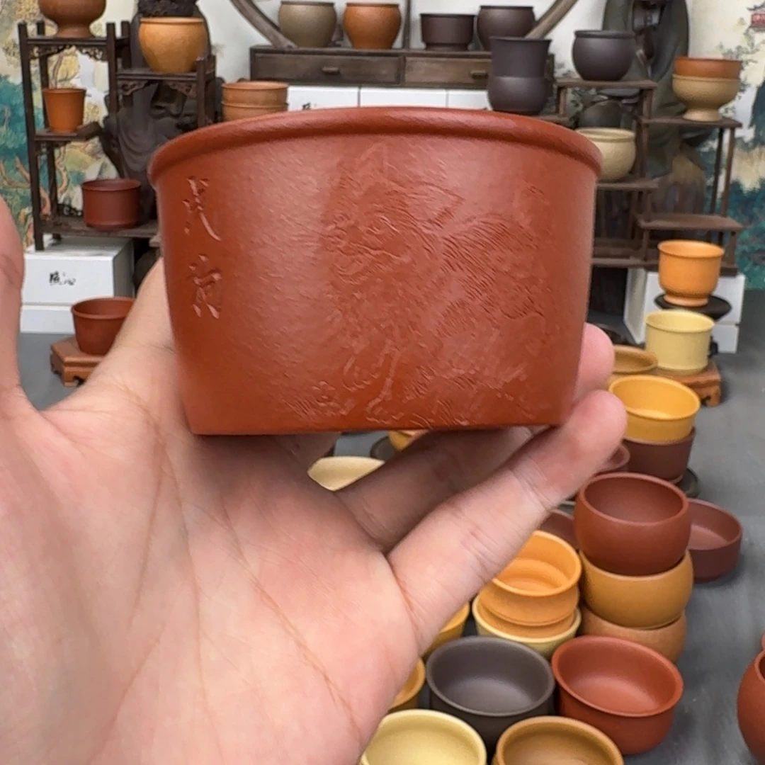 紫砂茶杯556434355424555