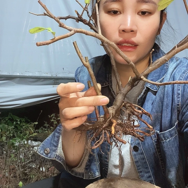 无花朵白*红1111111111