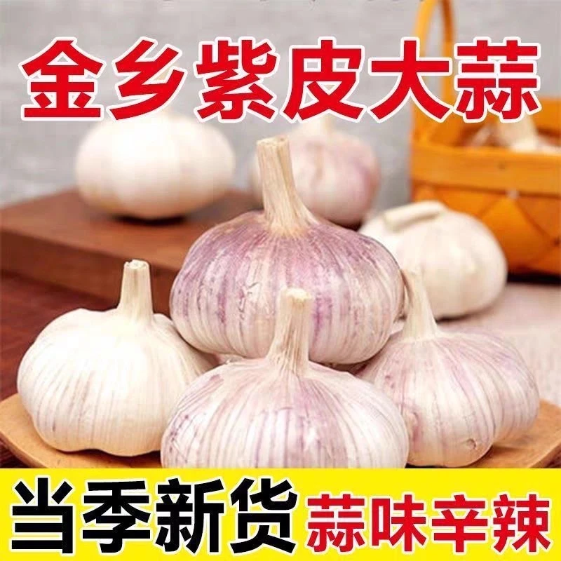 【2025年山东大蒜】紫白皮干蒜农家自种当季新鲜大蒜头自然晒干大蒜