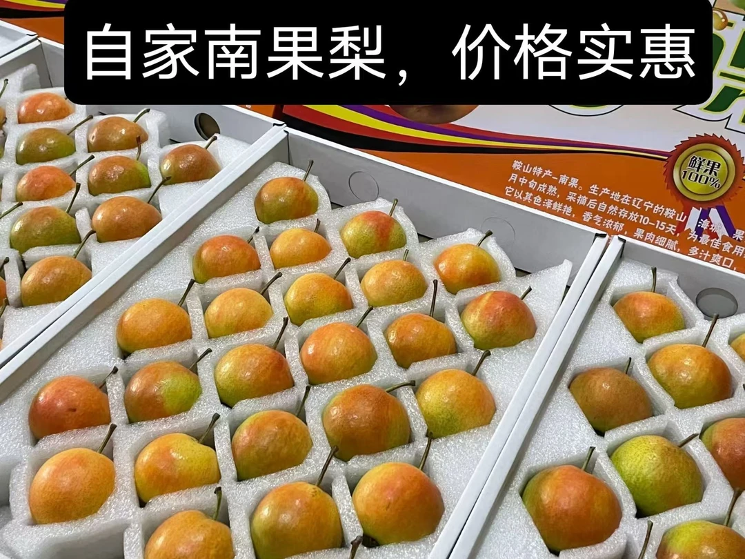鞍山南果梨礼盒装送礼首选精选果产地直发新鲜水果