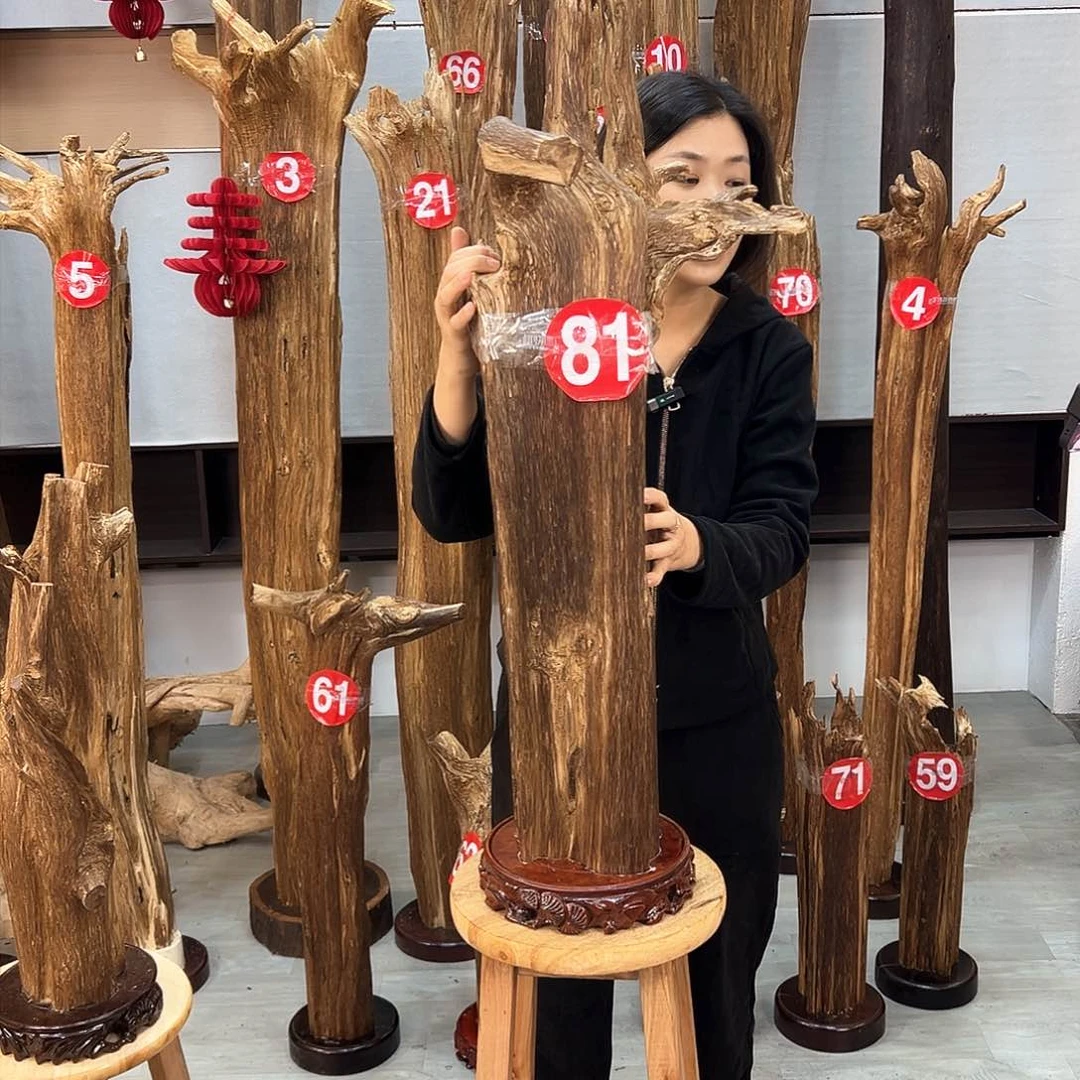 沉香摆件独*海南沉香摆件