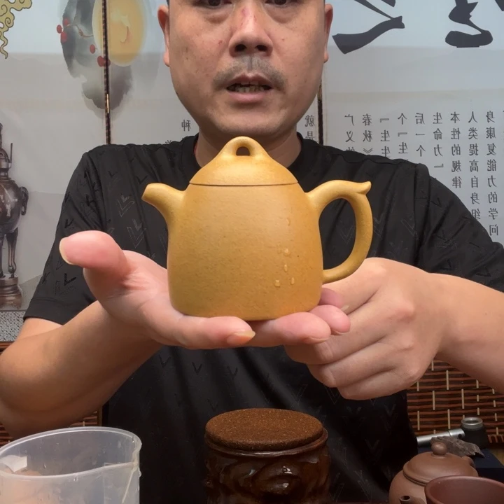 紫砂原矿紫砂壶言****易原矿黄金段