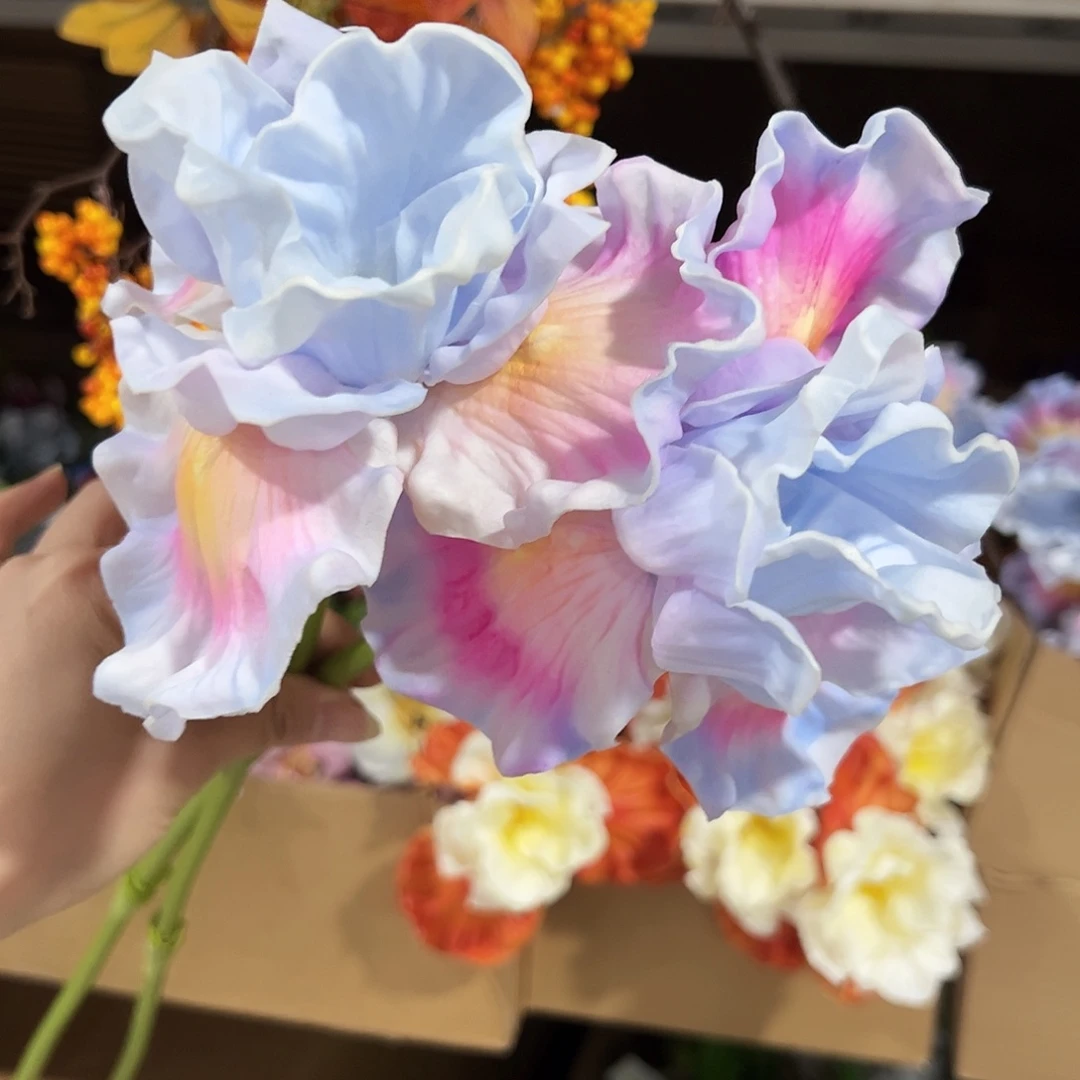 2枝微瑕鸢尾不退换