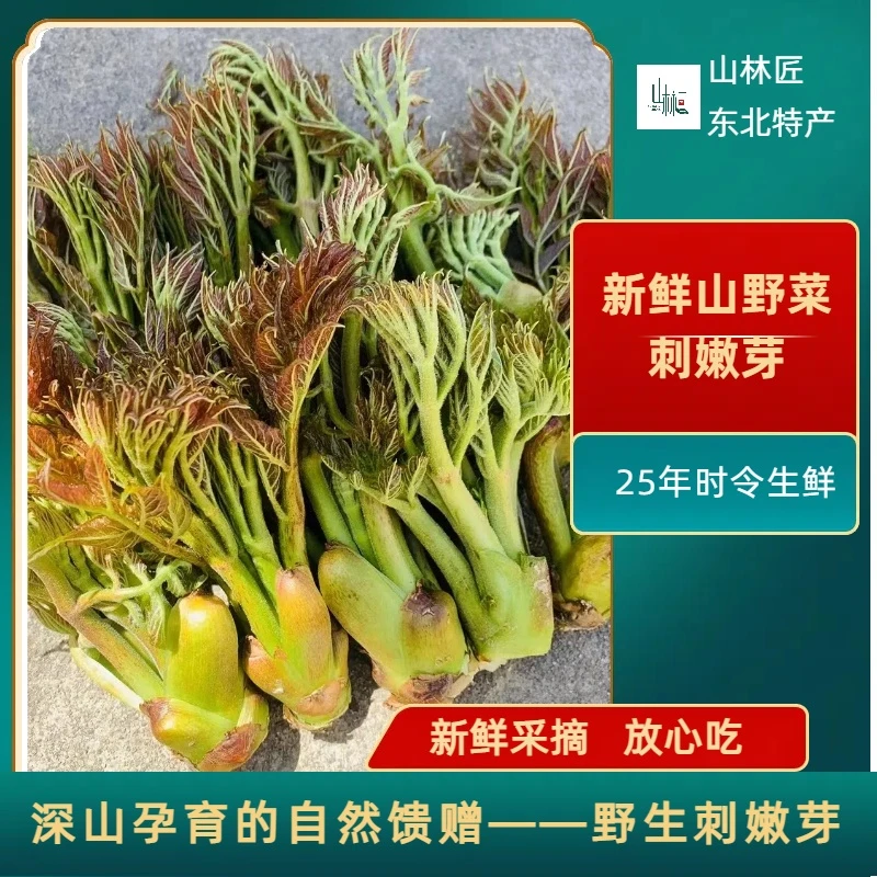 【山林匠】刺嫩芽东北特产头茬刺嫩芽刺老芽刺龙芽京东快递