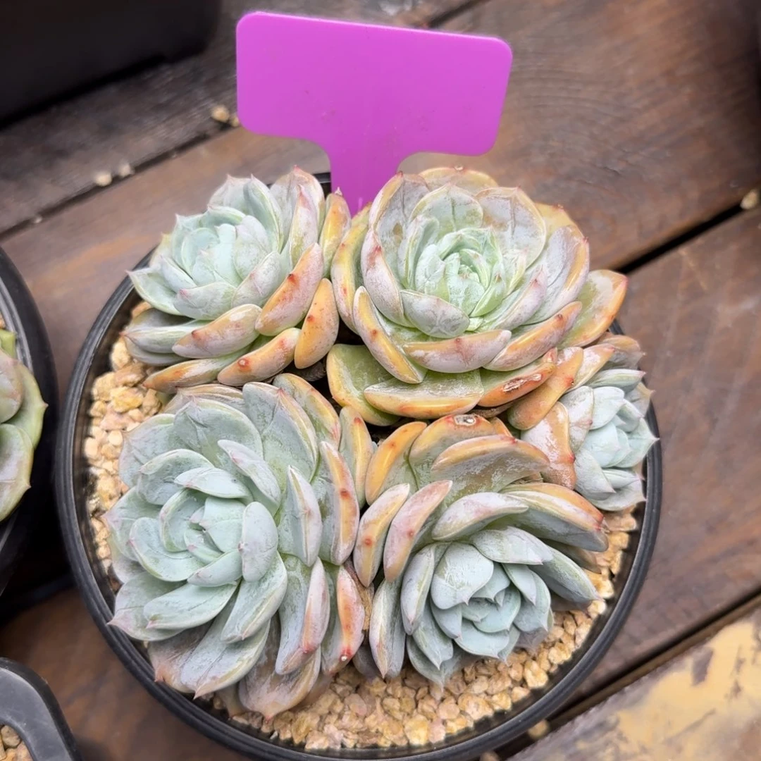 捞林1111111111111111111111