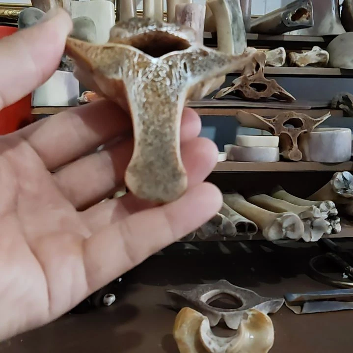 180中国大陆散装安排