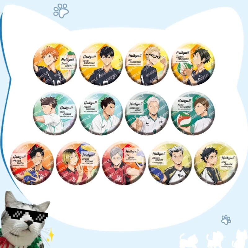 【日谷正版】排球少年 抱球 握球圆吧唧 徽章  13普1随机闪