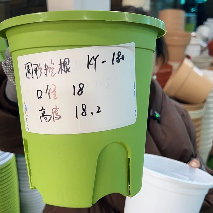 正品圆控口18高18果绿无托8只