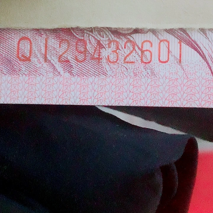 QI29432601刀特强国徽满版中国红丝丝胶水印
