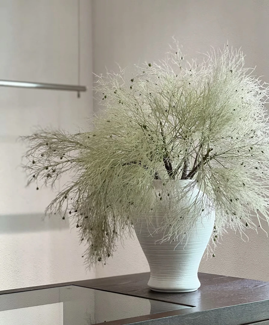 【拾花拾木】柔丝  鲜花云南鲜花