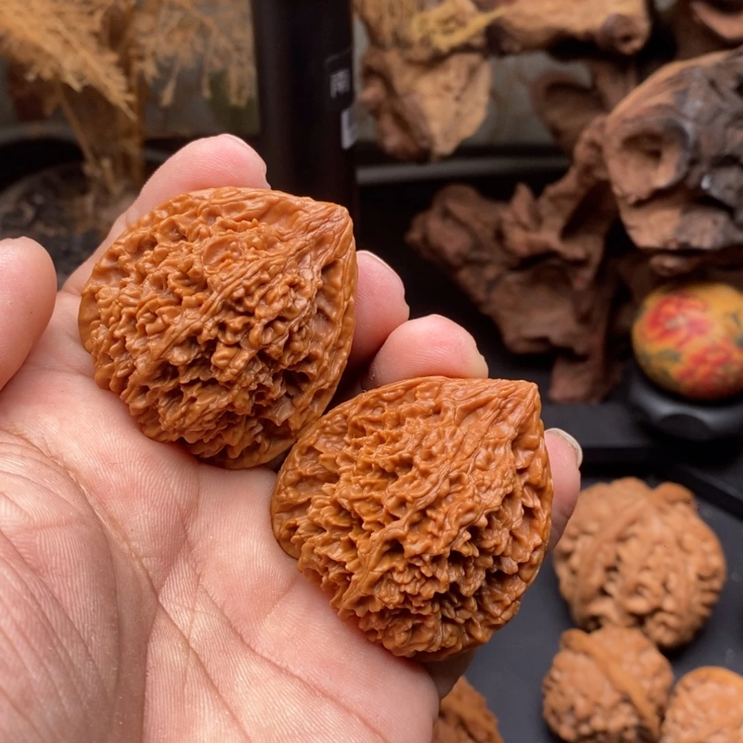 核桃三角满天星………………