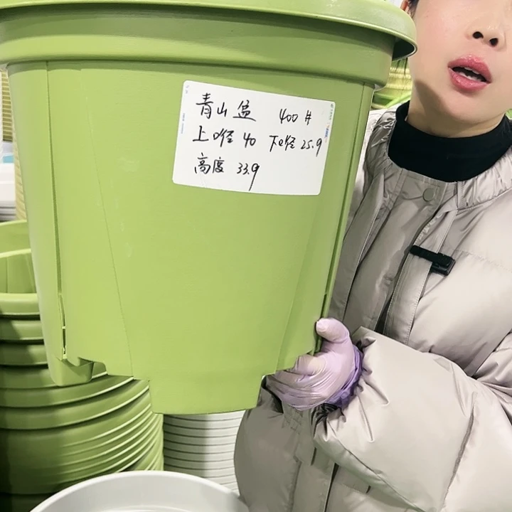 清仓青山口40高34果绿色3只无托