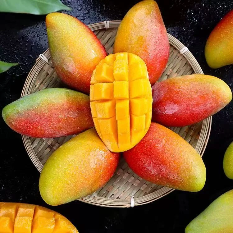 海南贵妃芒七彩芒果空运三亚树上熟红金龙核薄新鲜4斤礼盒装