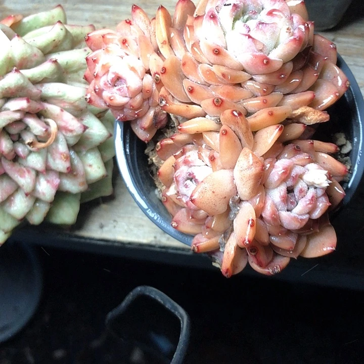 初90///////////////