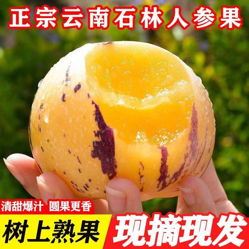 【小马哥严选】石林人参果！商超靓果！4斤装！京东到家陕西省