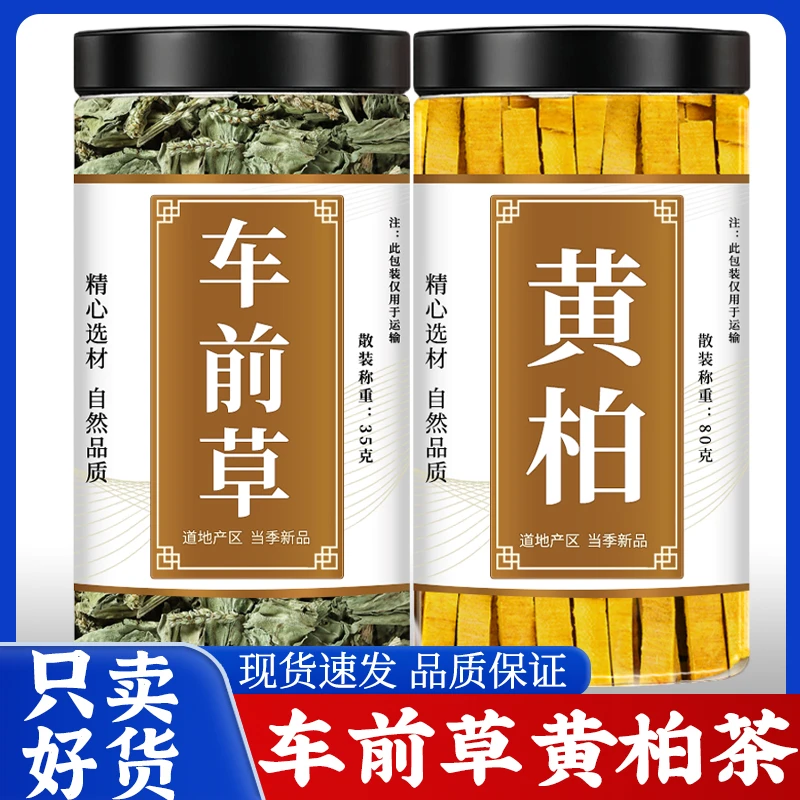 车前草黄柏正品泡水喝精选优质生去皮黄柏片新鲜干车轱辘菜煮鸡蛋