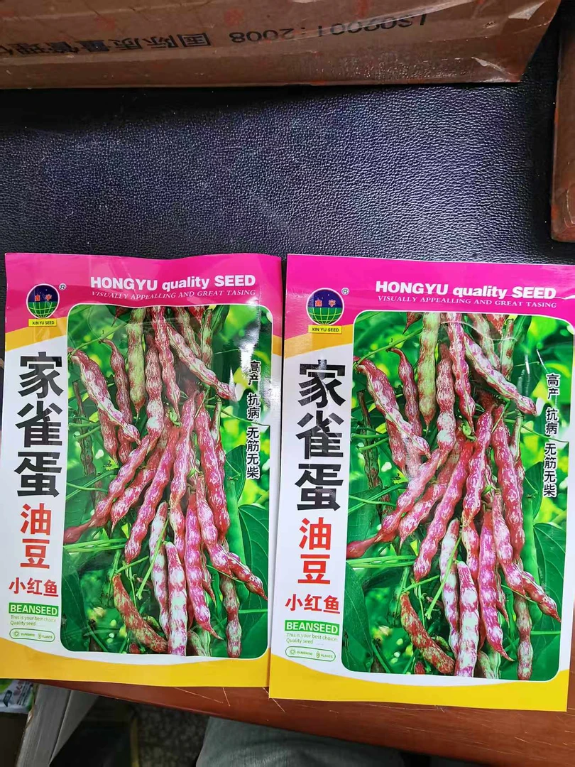 拍一发二家雀蛋豆角种子