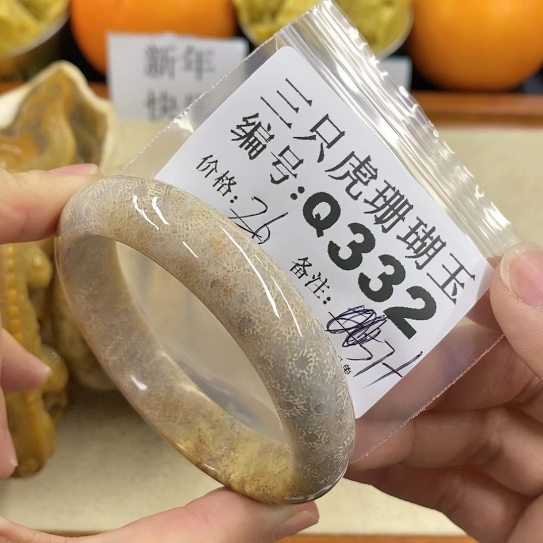 硅化珊瑚（珊瑚玉）1未镶嵌滢