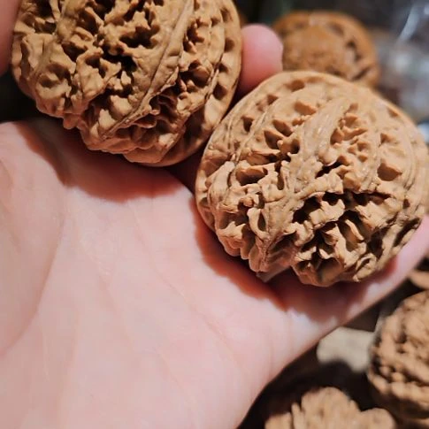 文玩核桃吊坠47粗筋