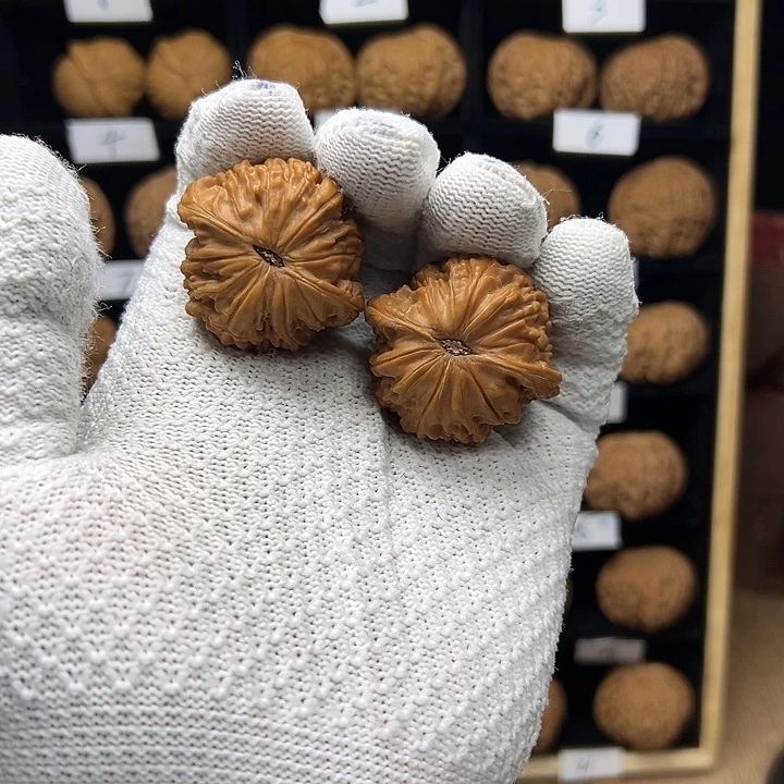 徐***二文玩核桃把件磨盘