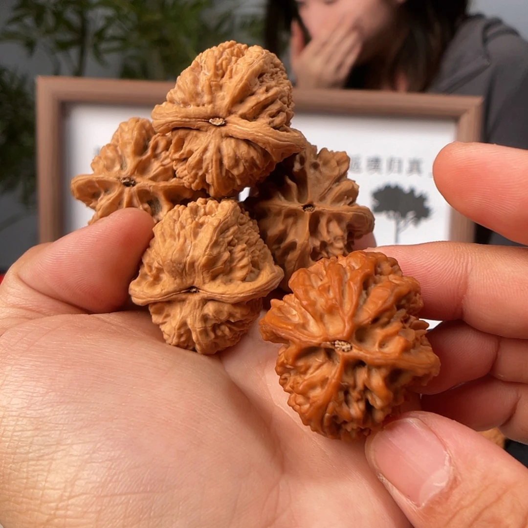 文玩核桃把件蚂蚁沟 朱雀鸡心