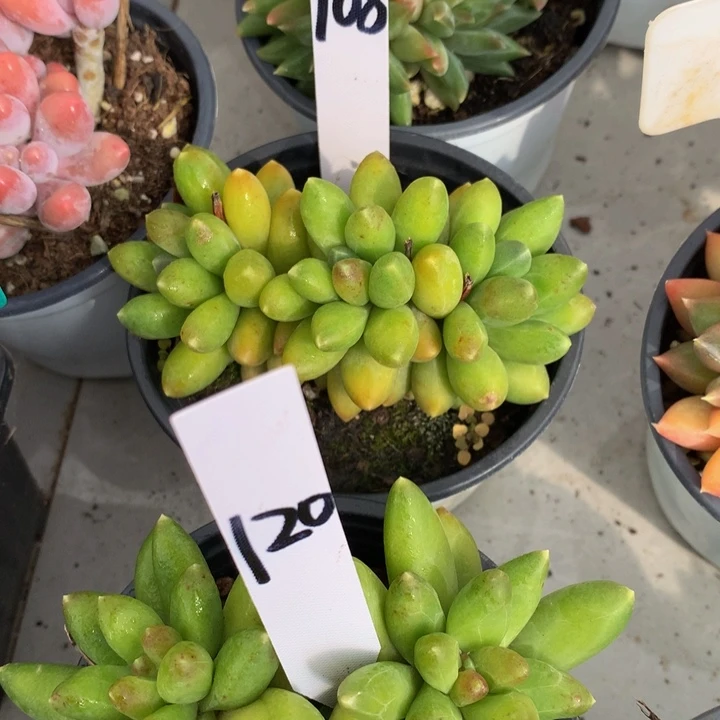 读too自己误72737272737