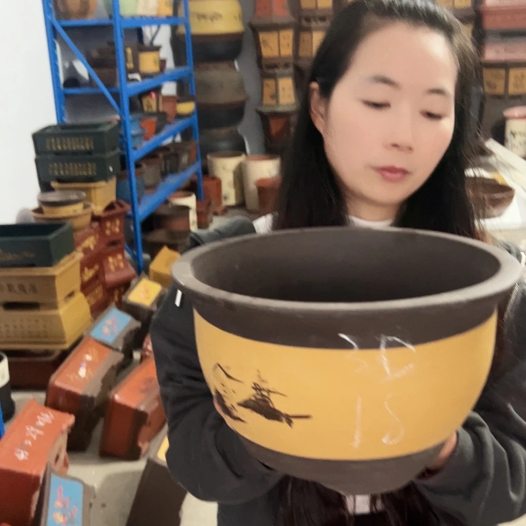 003花盆花盆花盆花盆