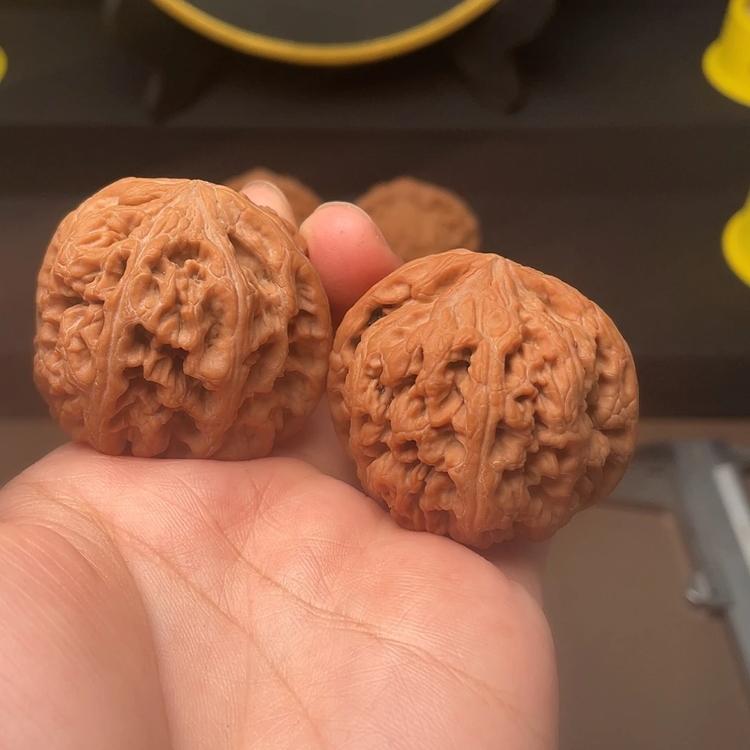 核桃大粗筋43大粗金