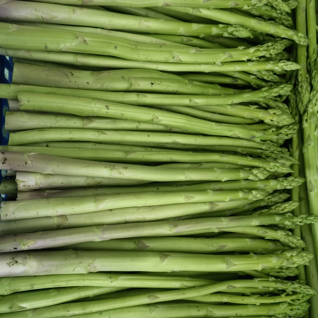 顺丰包邮东台本地农家种植当季芦笋