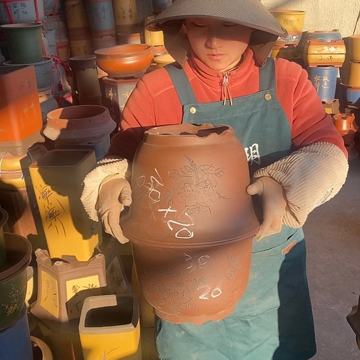 紫砂花盆盆栽花卉苗木种植