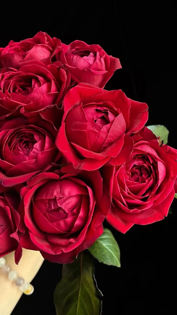 【花汀私享】宝莲灯-稀有单头玫瑰（注意带包装醒花哦~）