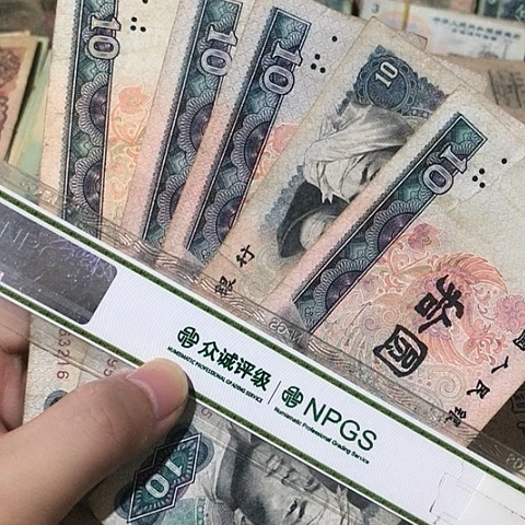 5张退市旧8010号码随机发货
