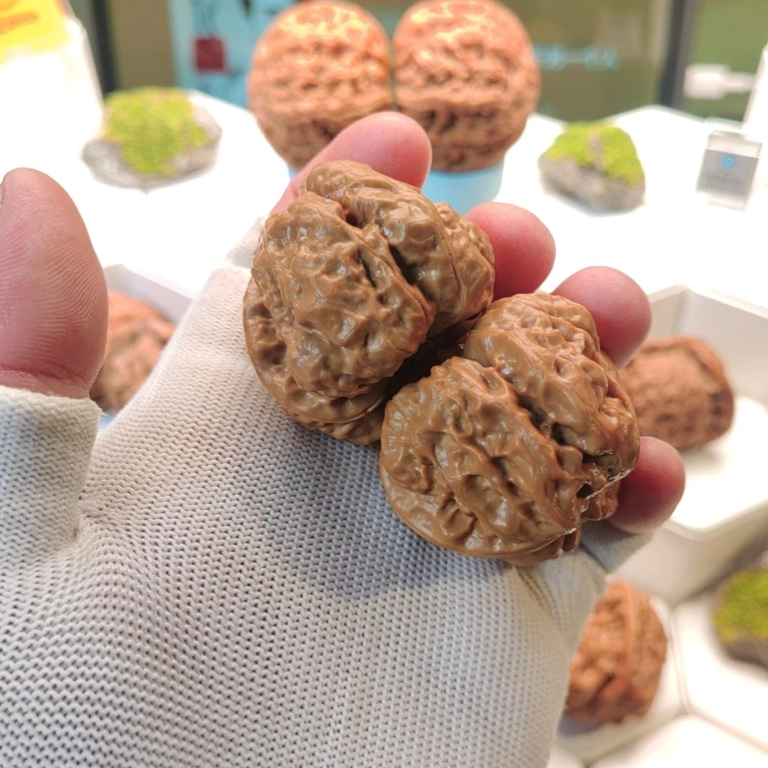 文玩核桃把件4号四开背八腿八眼边41肚41/2±