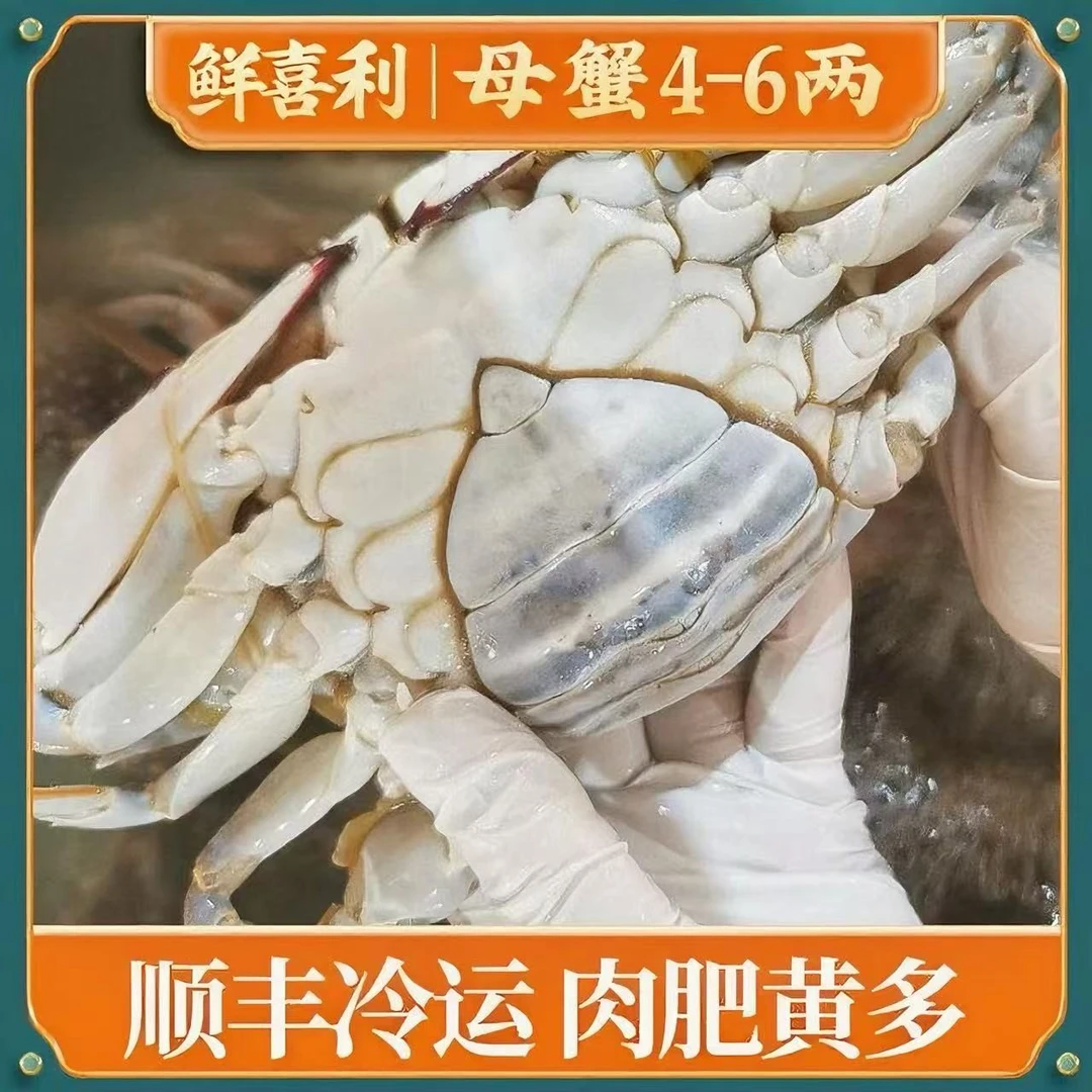 N 舟山母蟹梭子蟹5两左右/只(6只3斤左右，含赠品)不可清蒸【冻蟹】
