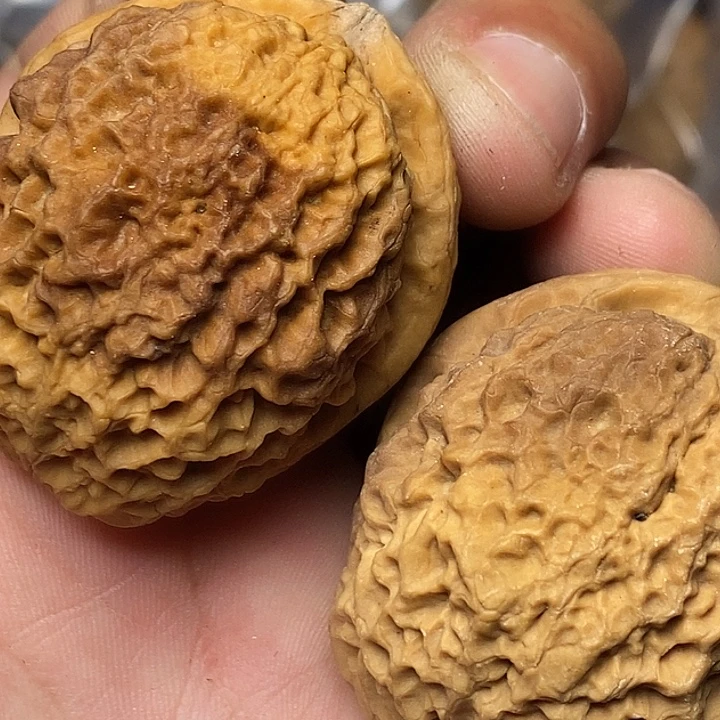 文玩核桃把件云南铁核桃66