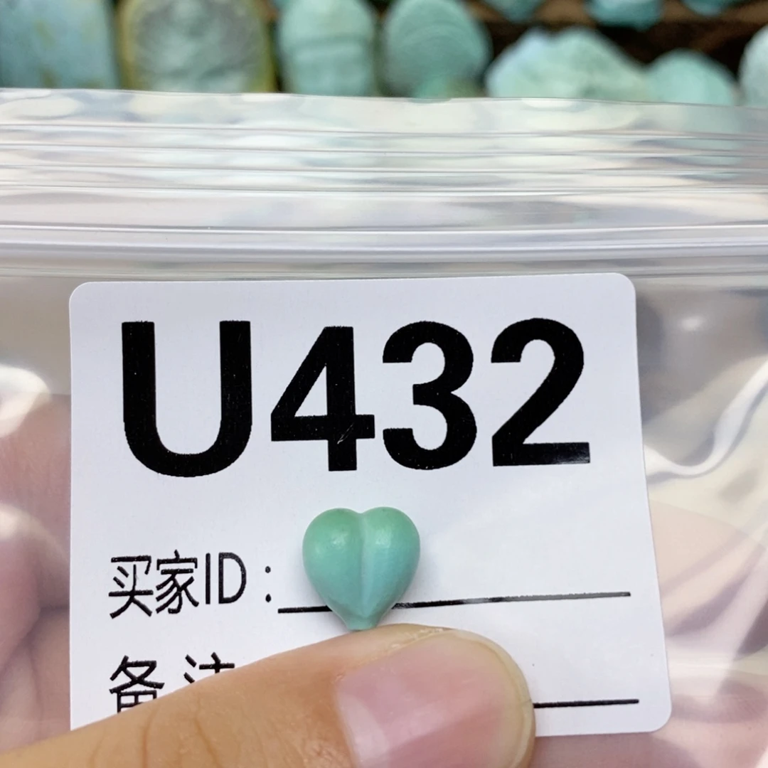 正***）未镶嵌绿松石配饰
