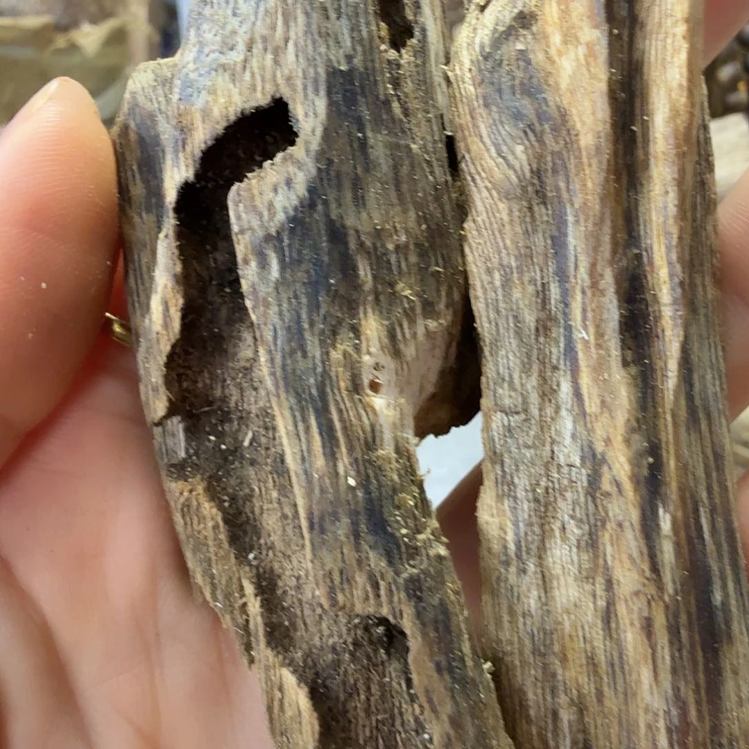 木绿奇楠虫漏23克