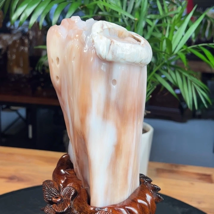 硅化玉（树化玉）未镶嵌珠宝奇石