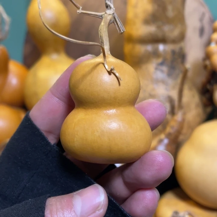 看好下单不保龙头