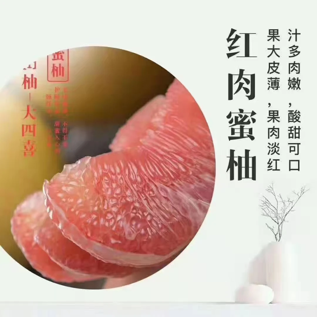 【五彩田园陈支书专属】正宗广西容县蜜柚红心蜜柚三红蜜柚现摘现发