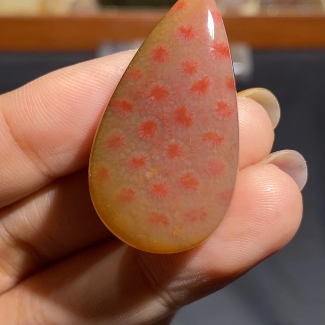 【闪购商品】未镶嵌珊瑚玉硅化玉