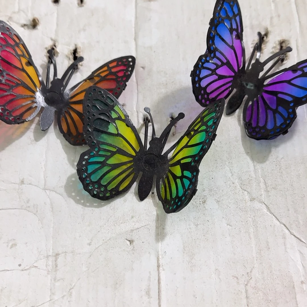 核桃木/黑胡桃（胡桃木）