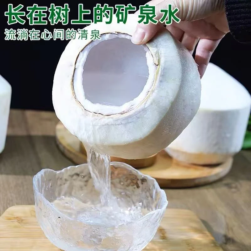 【王路军】泰国香水椰孕妇水果