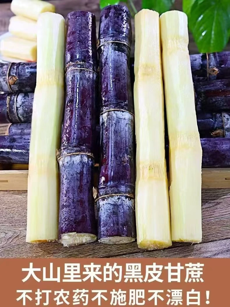 【精品严选】广西特产黑皮甘蔗 新鲜现砍甜杆蔗 清甜多汁多规格选