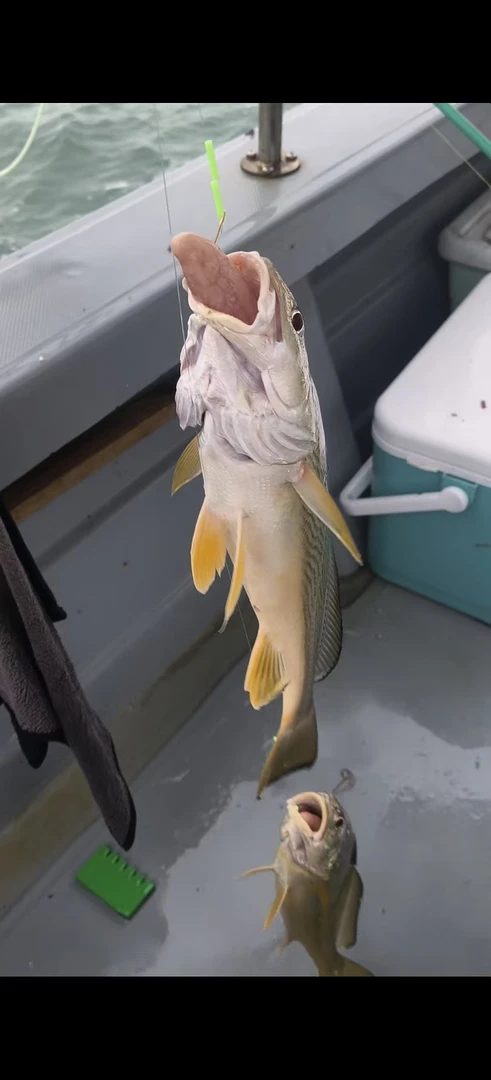 海钓黄山-手工绑自制双钩鱼钩(一版6副装)